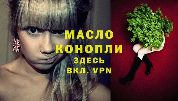 мет Алексин