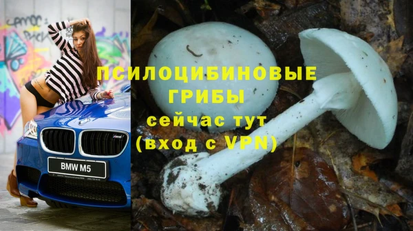 мет Алексин
