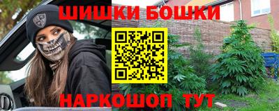 гашик Гусь-Хрустальный