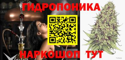 гашик Гусь-Хрустальный