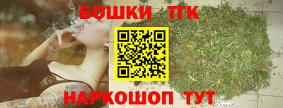 гашик Гусь-Хрустальный