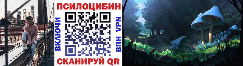 мега ТОР  даркнет сайт  Мирный  Псилоцибиновые грибы Psilocybine cubensis 