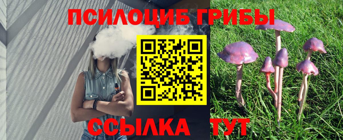 Псилоцибиновые грибы Psilocybine cubensis  Псилоцибиновые грибы MAGIC MUSHROOMS  Мирный  Вход с VPN 